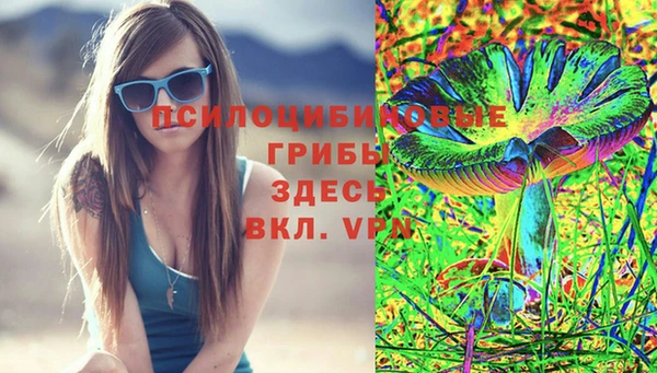 СК Абинск