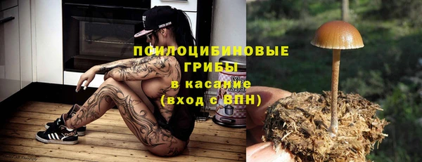 дмт Алзамай