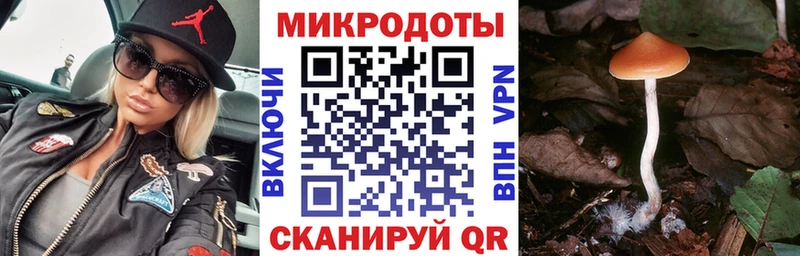 hydra сайт  Котово  Псилоцибиновые грибы ЛСД 
